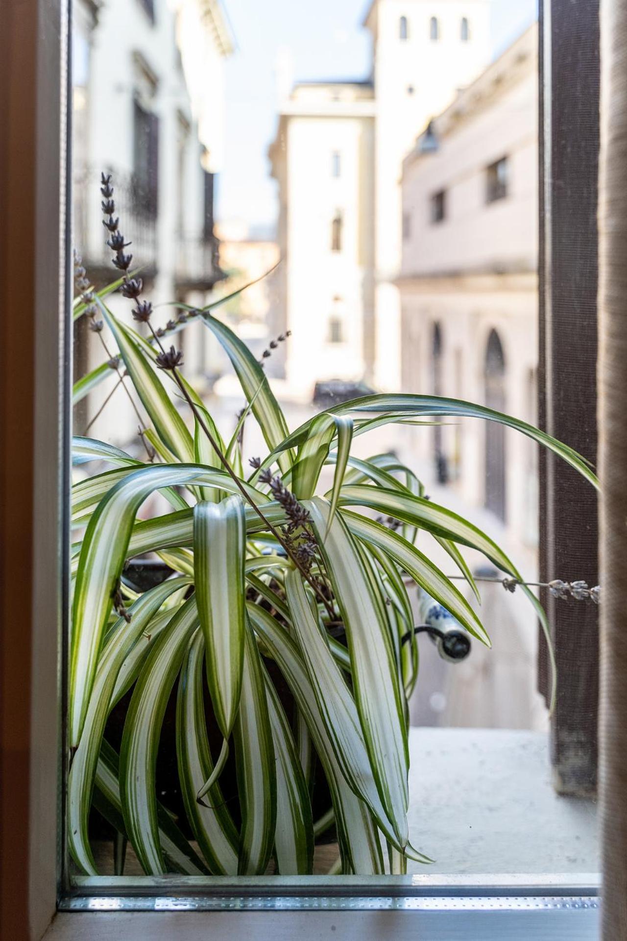 Dependance Cara Giulietta Apartamento